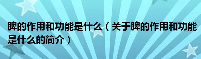 脾的作用和功能是什么（关于脾的作用和功能是什么的简介）