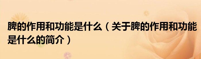 脾的作用和功能是什么（关于脾的作用和功能是什么的简介）