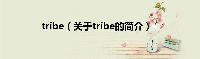 tribe（关于tribe的简介）