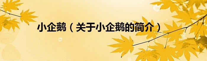 小企鹅（关于小企鹅的简介）