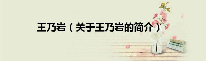 王乃岩（关于王乃岩的简介）