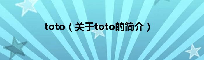 toto（关于toto的简介）