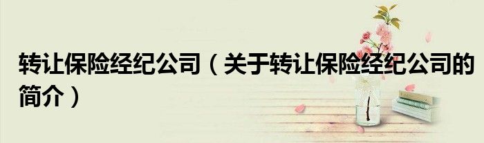 转让保险经纪公司（关于转让保险经纪公司的简介）
