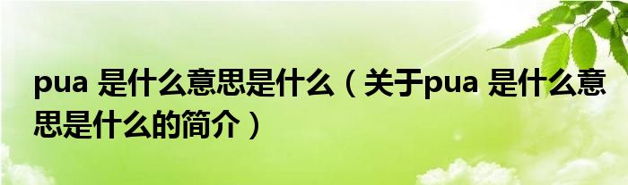 pua 是什么意思是什么（关于pua 是什么意思是什么的简介）