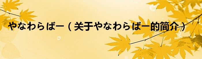 やなわらばー（关于やなわらばー的简介）