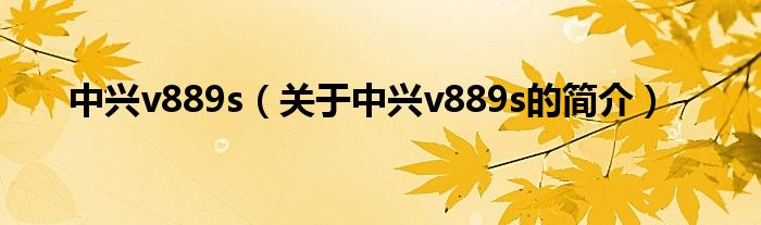中兴v889s（关于中兴v889s的简介）