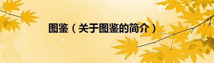图鉴（关于图鉴的简介）