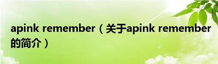 apink remember（关于apink remember的简介）