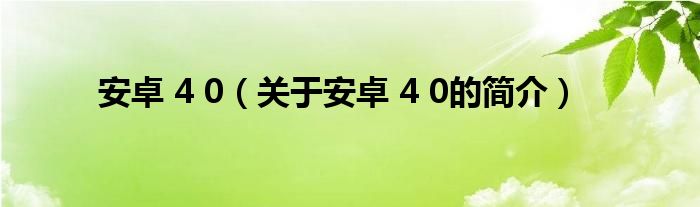 安卓 4 0（关于安卓 4 0的简介）