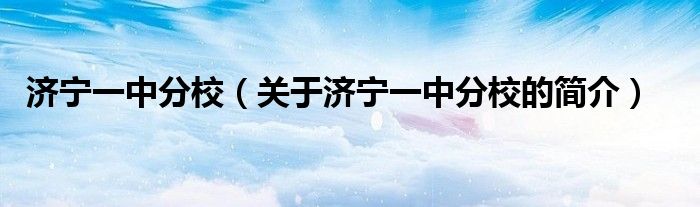 济宁一中分校（关于济宁一中分校的简介）
