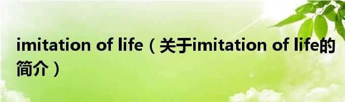 imitation of life（关于imitation of life的简介）