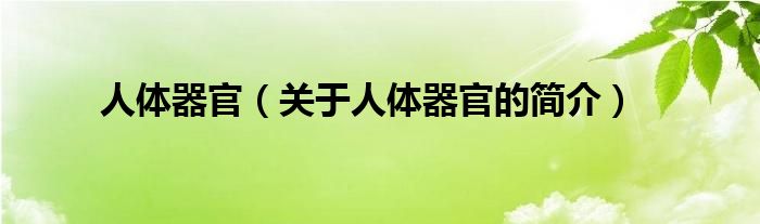 人体器官（关于人体器官的简介）