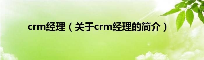 crm经理（关于crm经理的简介）