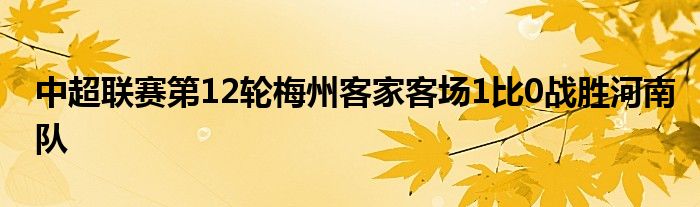 中超联赛第12轮梅州客家客场1比0战胜河南队