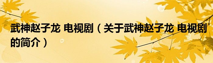 武神赵子龙 电视剧（关于武神赵子龙 电视剧的简介）