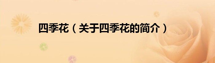 四季花（关于四季花的简介）