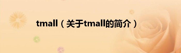 tmall（关于tmall的简介）