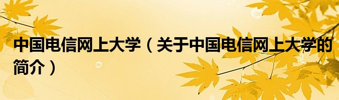 中国电信网上大学（关于中国电信网上大学的简介）