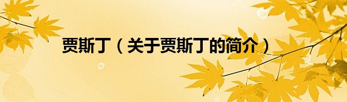 贾斯丁（关于贾斯丁的简介）