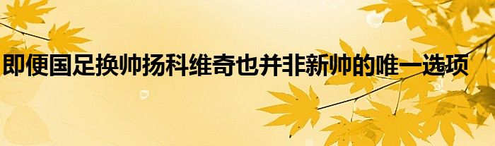 即便国足换帅扬科维奇也并非新帅的唯一选项