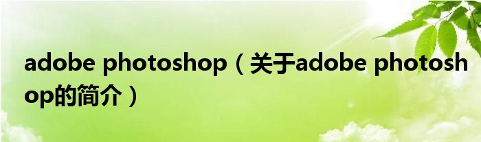 adobe photoshop（关于adobe photoshop的简介）