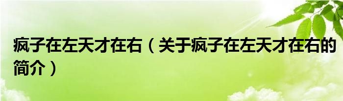 疯子在左天才在右（关于疯子在左天才在右的简介）