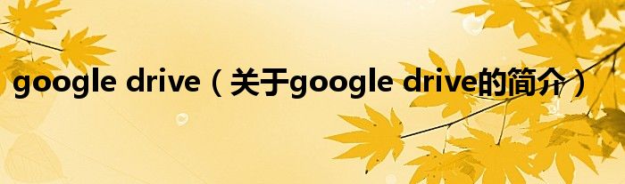 google drive（关于google drive的简介）
