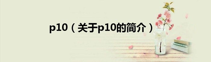 p10（关于p10的简介）