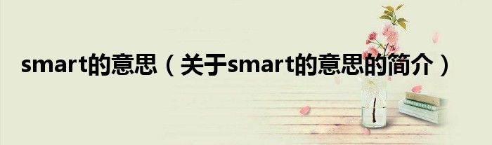 smart的意思（关于smart的意思的简介）