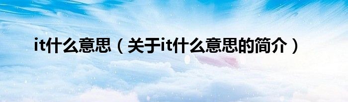 it什么意思（关于it什么意思的简介）
