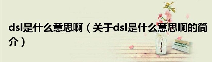 dsl是什么意思啊（关于dsl是什么意思啊的简介）