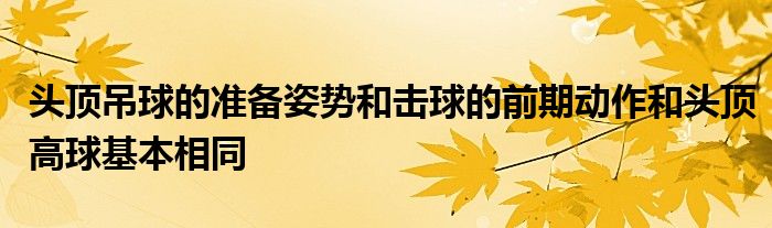 头顶吊球的准备姿势和击球的前期动作和头顶高球基本相同