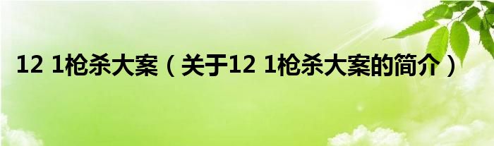 12 1枪杀大案（关于12 1枪杀大案的简介）