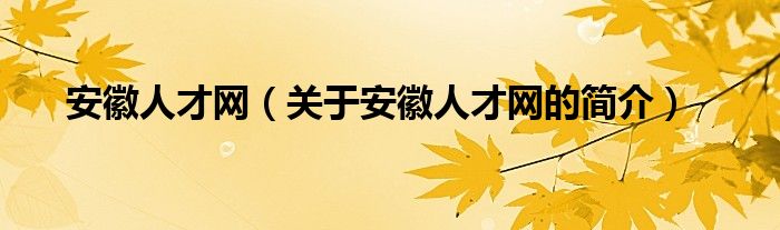 安徽人才网（关于安徽人才网的简介）