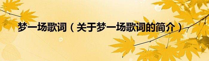梦一场歌词（关于梦一场歌词的简介）