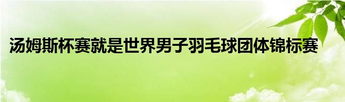 汤姆斯杯赛就是世界男子羽毛球团体锦标赛