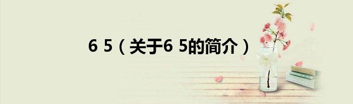 6 5（关于6 5的简介）