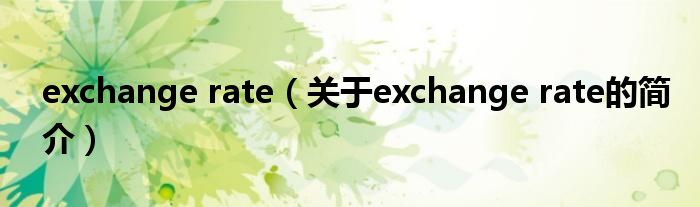 exchange rate（关于exchange rate的简介）