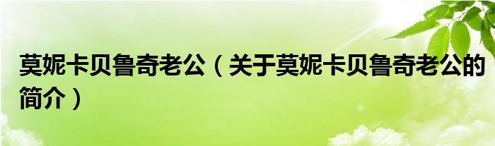 莫妮卡贝鲁奇老公（关于莫妮卡贝鲁奇老公的简介）