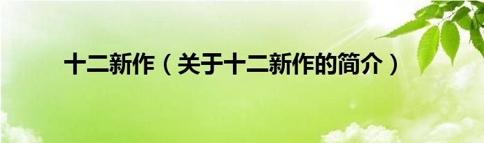 十二新作（关于十二新作的简介）