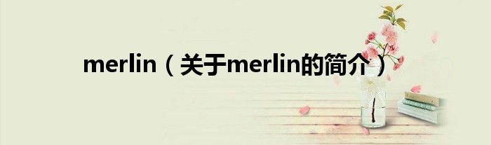 merlin（关于merlin的简介）