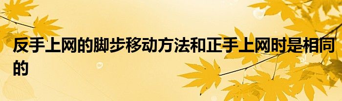 反手上网的脚步移动方法和正手上网时是相同的