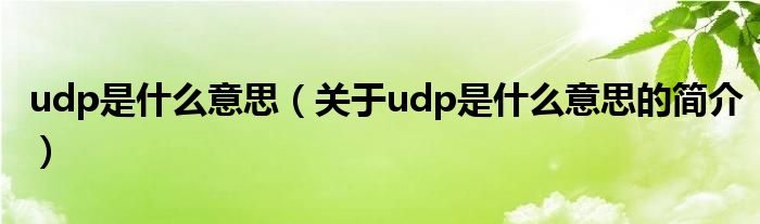 udp是什么意思（关于udp是什么意思的简介）