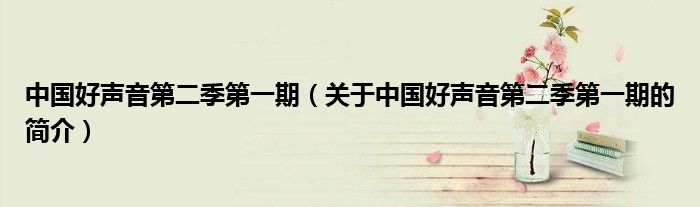 中国好声音第二季第一期（关于中国好声音第二季第一期的简介）