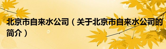 北京市自来水公司（关于北京市自来水公司的简介）