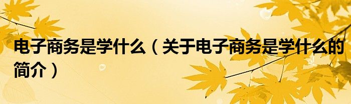 电子商务是学什么（关于电子商务是学什么的简介）