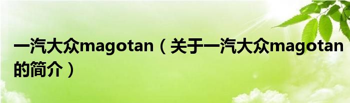 一汽大众magotan（关于一汽大众magotan的简介）