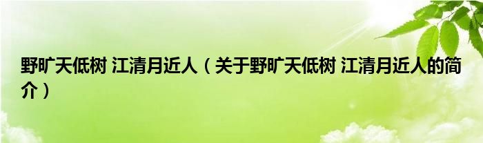 野旷天低树 江清月近人（关于野旷天低树 江清月近人的简介）