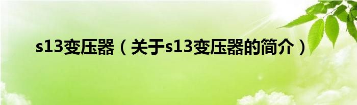 s13变压器（关于s13变压器的简介）