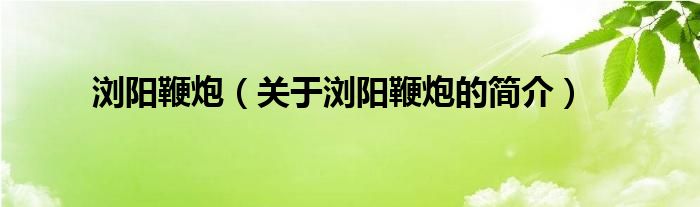 浏阳鞭炮（关于浏阳鞭炮的简介）